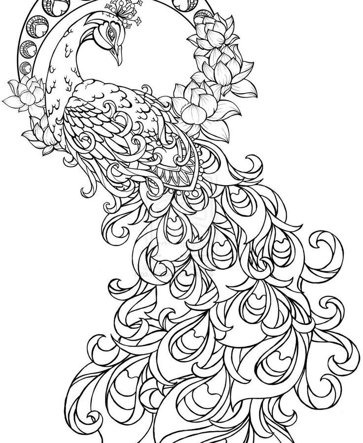 Paisley Hearts And Flowers Anti Stress Coloring Wonderful Page 736x900 Paisley Hearts And Flowers Anti Stress Coloring Wonderful Page