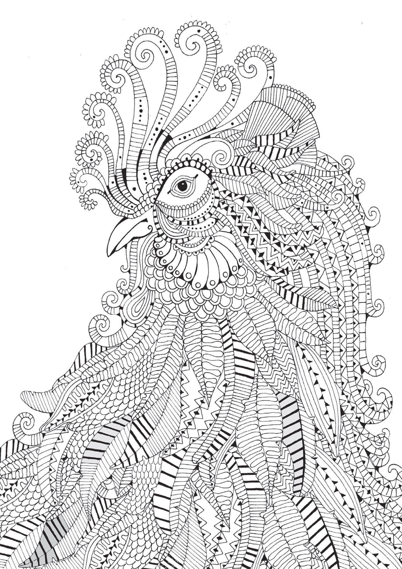 Rooster Abstract Doodle Zentangle Paisley Coloring Pages Colouring 1400x1980 Rooster Abstract Doodle Zentangle Paisley Coloring Pages Colouring
