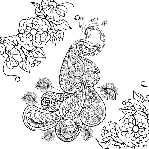 Paisley Peacock Coloring Pages 500x500 Paisley Peacock Coloring Pages