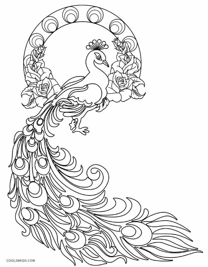 Peacock Coloring Pages To Print 1049 663x850 Peacock Coloring Pages To Print 1049