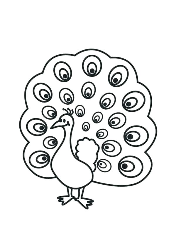 Coloring Page Peacock 600x847 Coloring Page Peacock