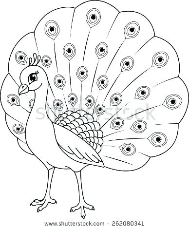 Coloring Peacock Peacock Images For Coloring Peacock Coloring Page 388x470 Coloring Peacock Peacock Images For Coloring Peacock Coloring Page