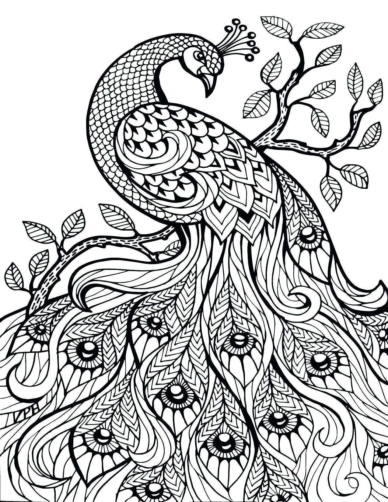 Free Printable Paisley Coloring Pages 1275x1650 Free Printable Paisley Coloring Pages