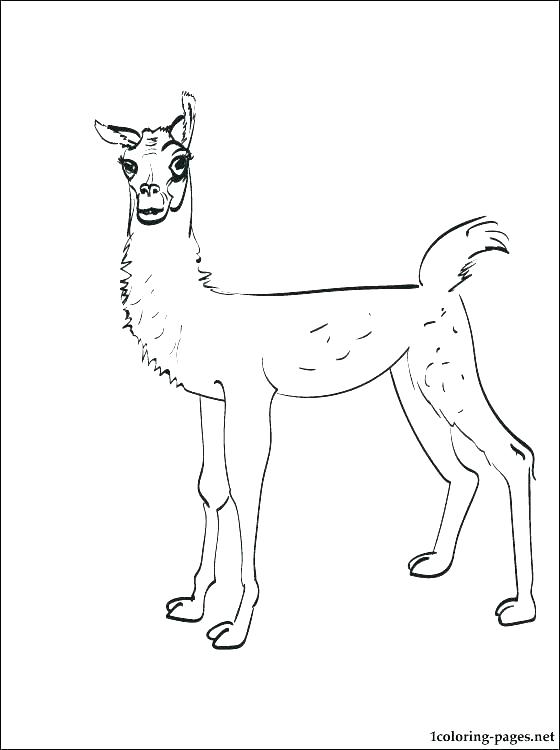 560x750 Llama Llama Coloring Pages Llama Llama Red Pajama Coloring Page