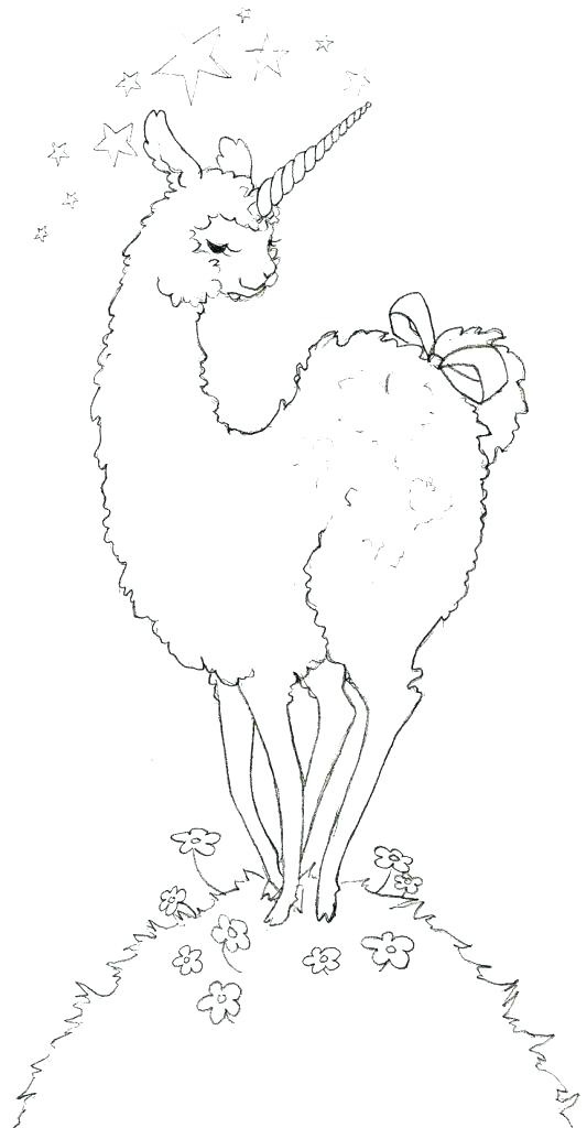 533x1024 Alpaca Coloring Pages How To Draw An Alpaca Plus Adult Llama Red