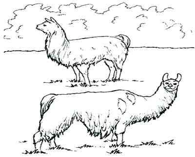 400x322 Llama Coloring Pages Field Day Coloring Page Pajama Day Coloring