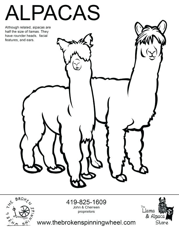 612x792 Coloring Pages For Kids Cute Llama Red Pajama Images Example