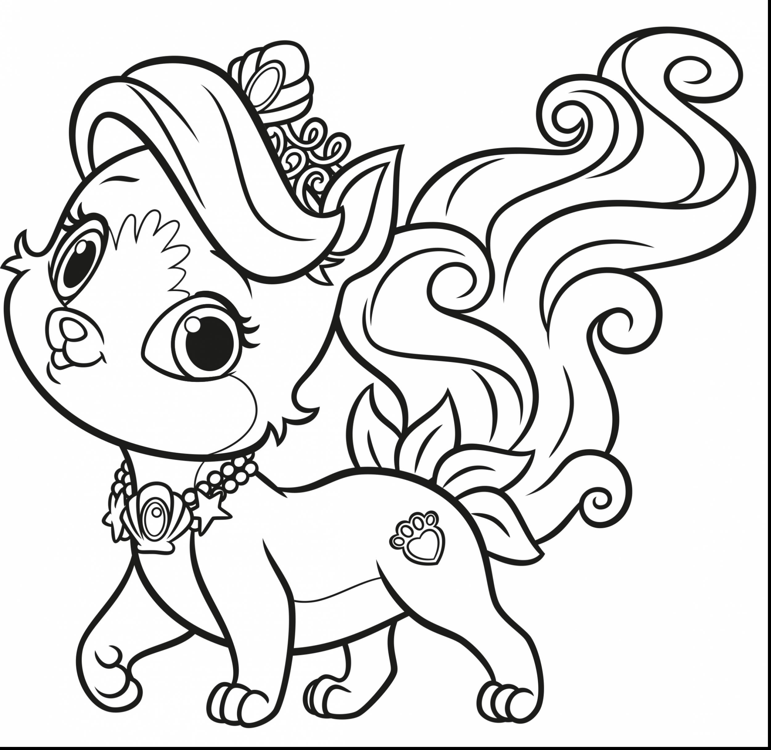 2501x2433 Challenge Palace Pets Coloring Pages 4 On With