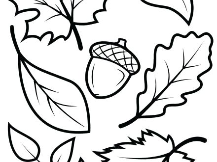 440x330 Leaf Printable Coloring Pages Leaf Printable Coloring Pages