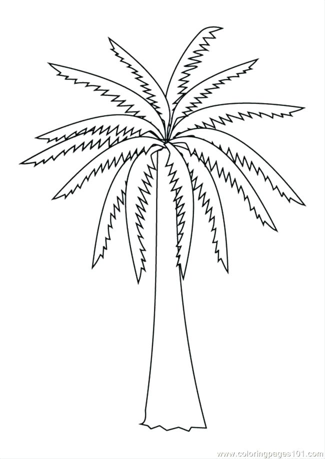 650x918 Bare Tree Branches Coloring Page Coloring Pages Of Trees Coloring