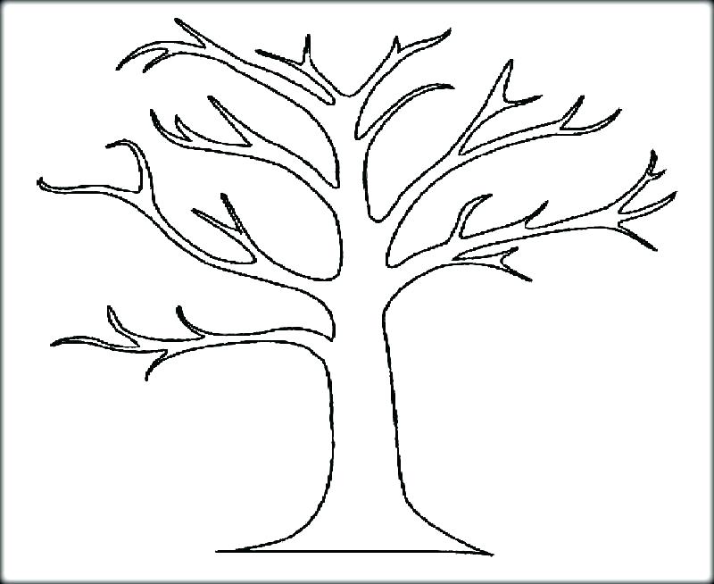Palm Branch Coloring Page at GetColorings.com | Free printable ...