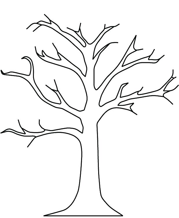 618x752 Coloring Pages Of Trees As Well As Coloring Page Leaf Palm Tree