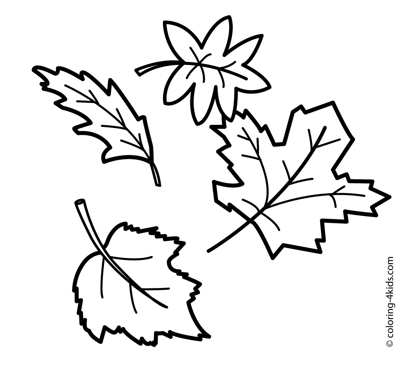 Palm Leaf Coloring Page at GetColorings.com | Free printable colorings