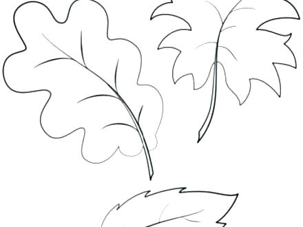 440x330 Leaf Coloring Page Leaf Templates Printable Palm Leaf Coloring
