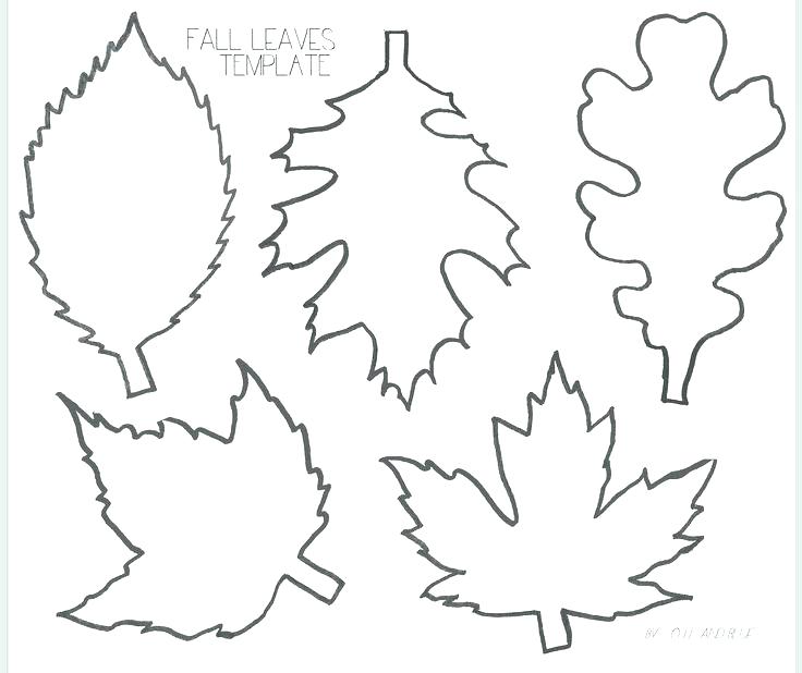 736x618 Leaf Printable Coloring Pages Leaves Fall Leaves And Craft