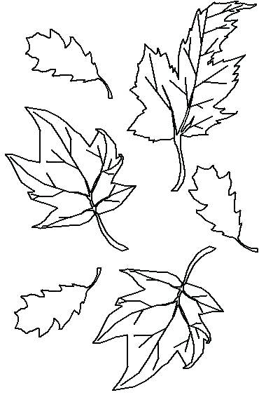 370x563 Leaves Coloring Pages Coloring Pages Fall Leaves Amazing