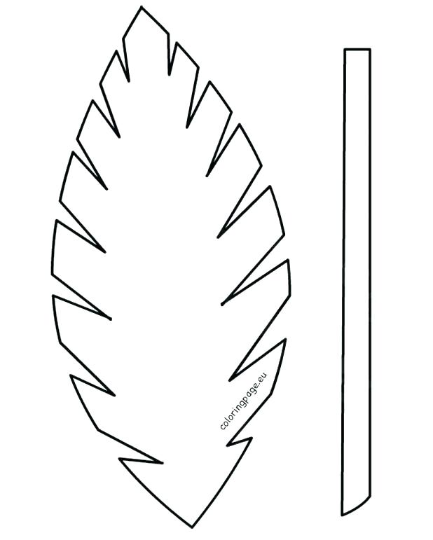 618x771 Palm Leaf Coloring Page Leaf Printable Template Craft Leaf