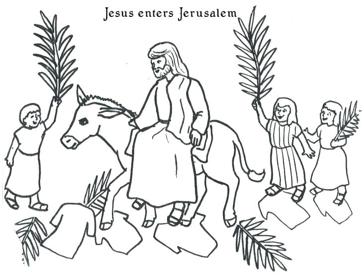 728x551 Palm Sunday Coloring Page Free Printable Palm Coloring Page Good