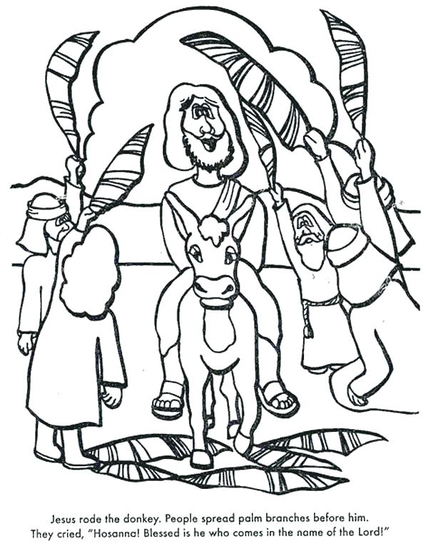 Top Rated Palm Sunday Coloring Pages Pictures Palm Coloring 600x765 Top Rated Palm Sunday Coloring Pages Pictures Palm Coloring