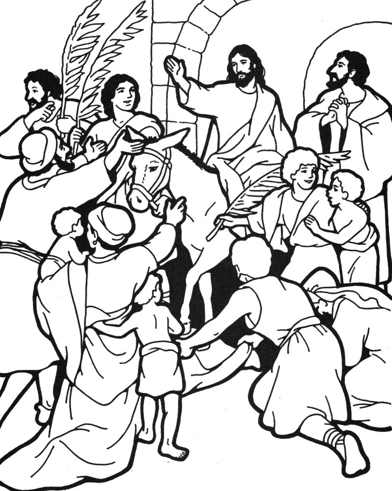 Focus Triumphal Entry Coloring Page Palm Sunda 800x1001 Focus Triumphal Entry Coloring Page Palm Sunda