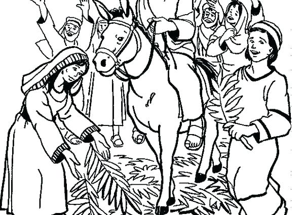 Idea Palm Coloring Pages And X X X A A Previous Image Idea Palm 600x425 Idea Palm Coloring Pages And X X X A A Previous Image Idea Palm