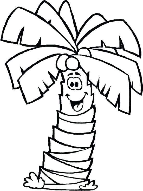 550x735 Palm Tree Coloring Page Palm Tree Coloring Pages