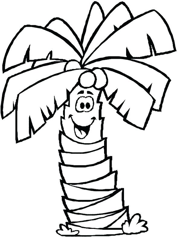 590x786 Palm Tree Coloring Pages For Kids