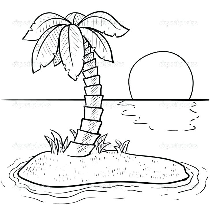 728x728 Palm Tree Coloring Pages Medium Size Of Palm Tree Coloring Page