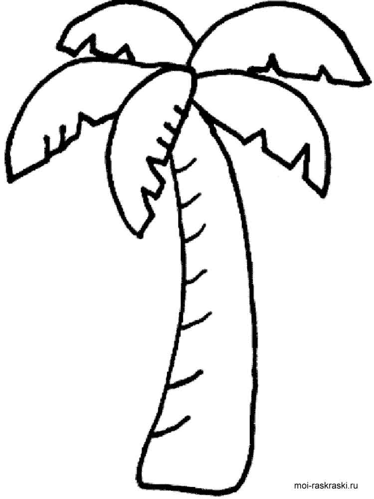 750x1000 Palm Tree Coloring Pages Palm Tree Coloring Pages For Kids Free