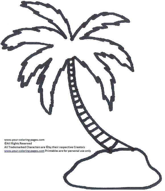 580x672 Palm Tree Coloring Pages Palm Trees Coloring Pages Palm Tree Palm