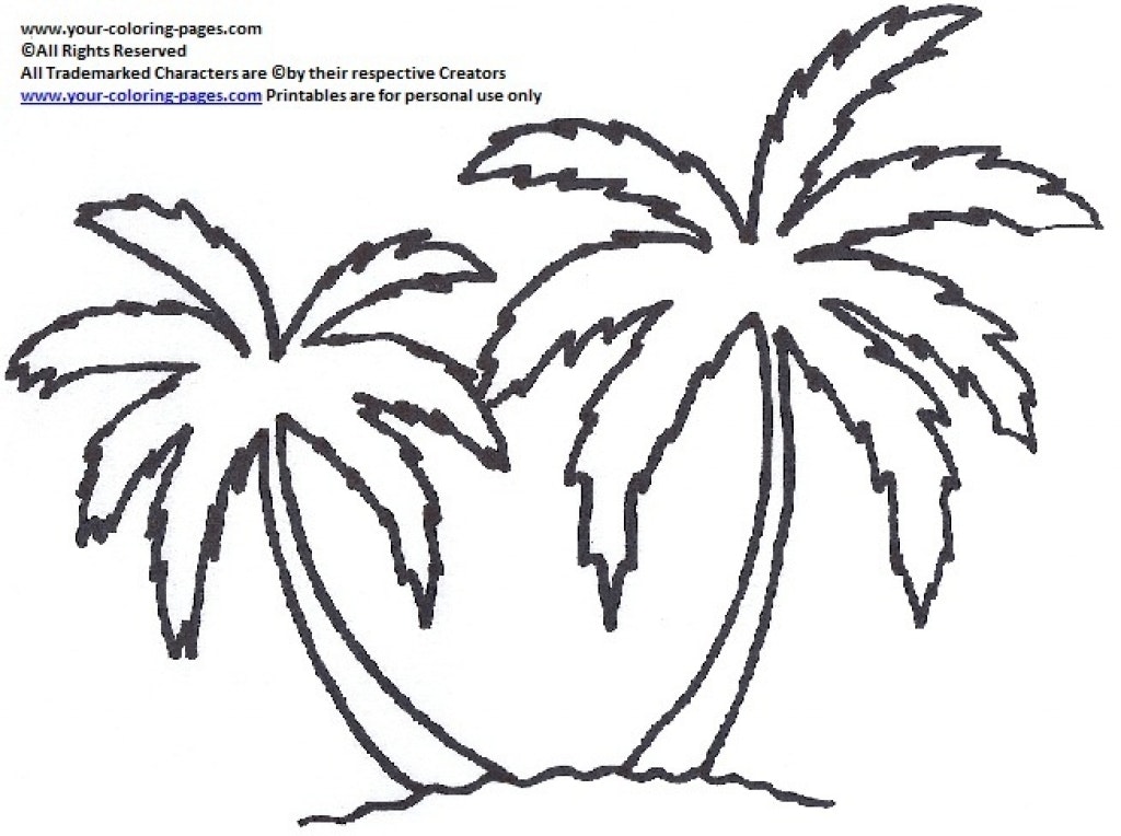 1024x764 Palm Tree Coloring Page Pages With Regard Regarding Inspire Color