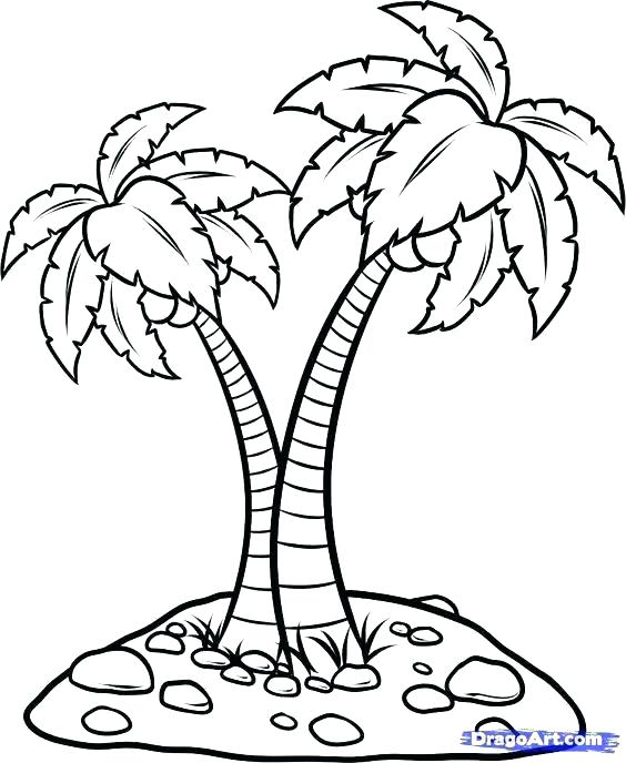 564x688 Coconut Tree Coloring Page Coconut Palm Tree Coloring Page Pages