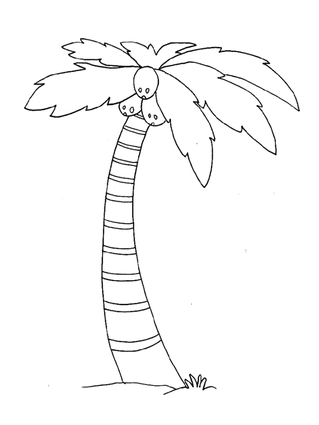 Palm Tree Leaves Coloring Pages at GetColorings.com | Free printable ...