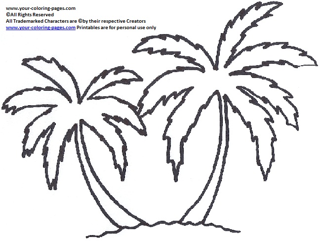 Palm Tree Coloring Pages 654x488 Palm Tree Coloring Pages