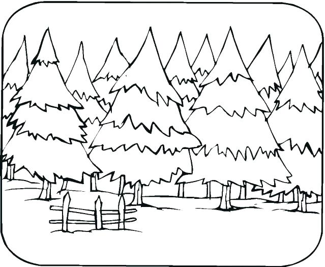 Palm Trees Coloring Pages Coloring Pages For Trees Trees Coloring 639x525 Palm Trees Coloring Pages Coloring Pages For Trees Trees Coloring