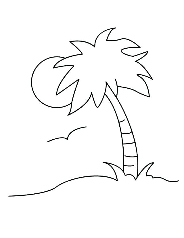 Bare Tree Coloring Page With Bare Tree Coloring Page Tree 640x827 Bare Tree Coloring Page With Bare Tree Coloring Page Tree