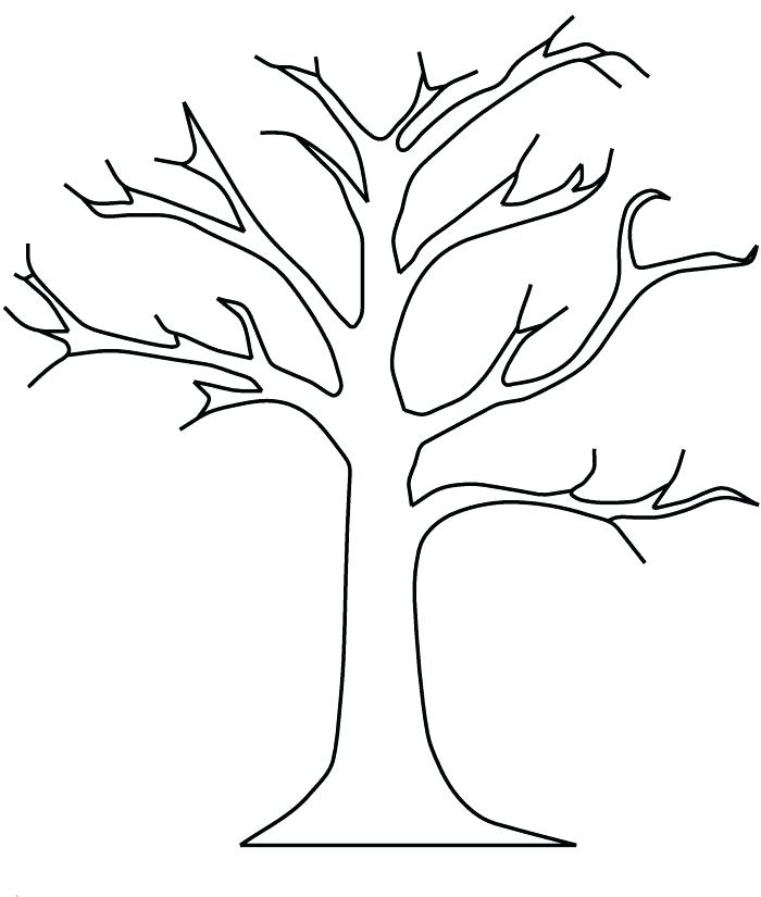 Coloring Pages Trees Bare Tree Without Leaves Coloring Pages Tree 700x825 Coloring Pages Trees Bare Tree Without Leaves Coloring Pages Tree