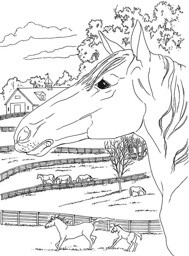 650x877 Country Scenes Coloring Book Coloring Page 5 Welcome