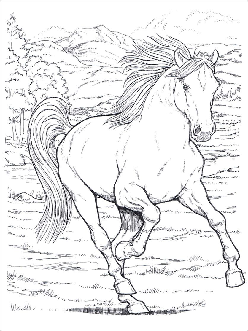 836x1116 Horses 2 Adult Coloring Pages Horse Is A Horse Of Course