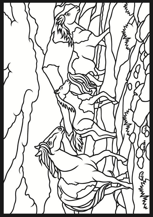 650x921 3 D Coloring Book Horses Welcome To Dover Publications Coloring