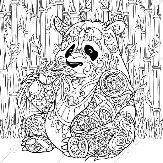 570x570 Adult Coloring Pages. Panda Bear. Zentangle Doodle Coloring Book