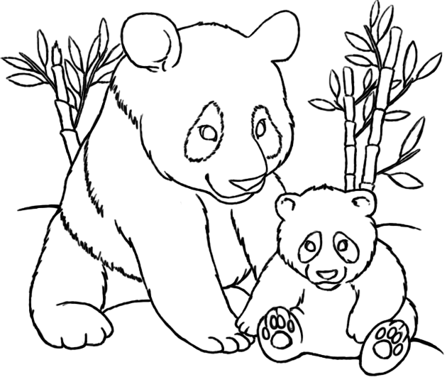 630x531 Panda Coloring Pages