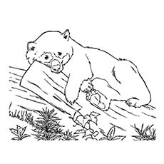 230x230 Top 25 Free Printable Cute Panda Bear Coloring Pages Online