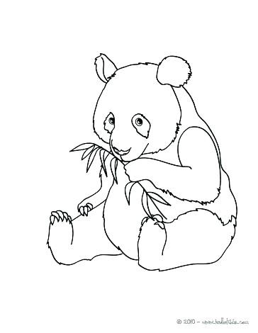 Here Are Panda Bear Coloring Pages Images Also Here Are Panda Bear 364x470 Here Are Panda Bear Coloring Pages Images Also Here Are Panda Bear