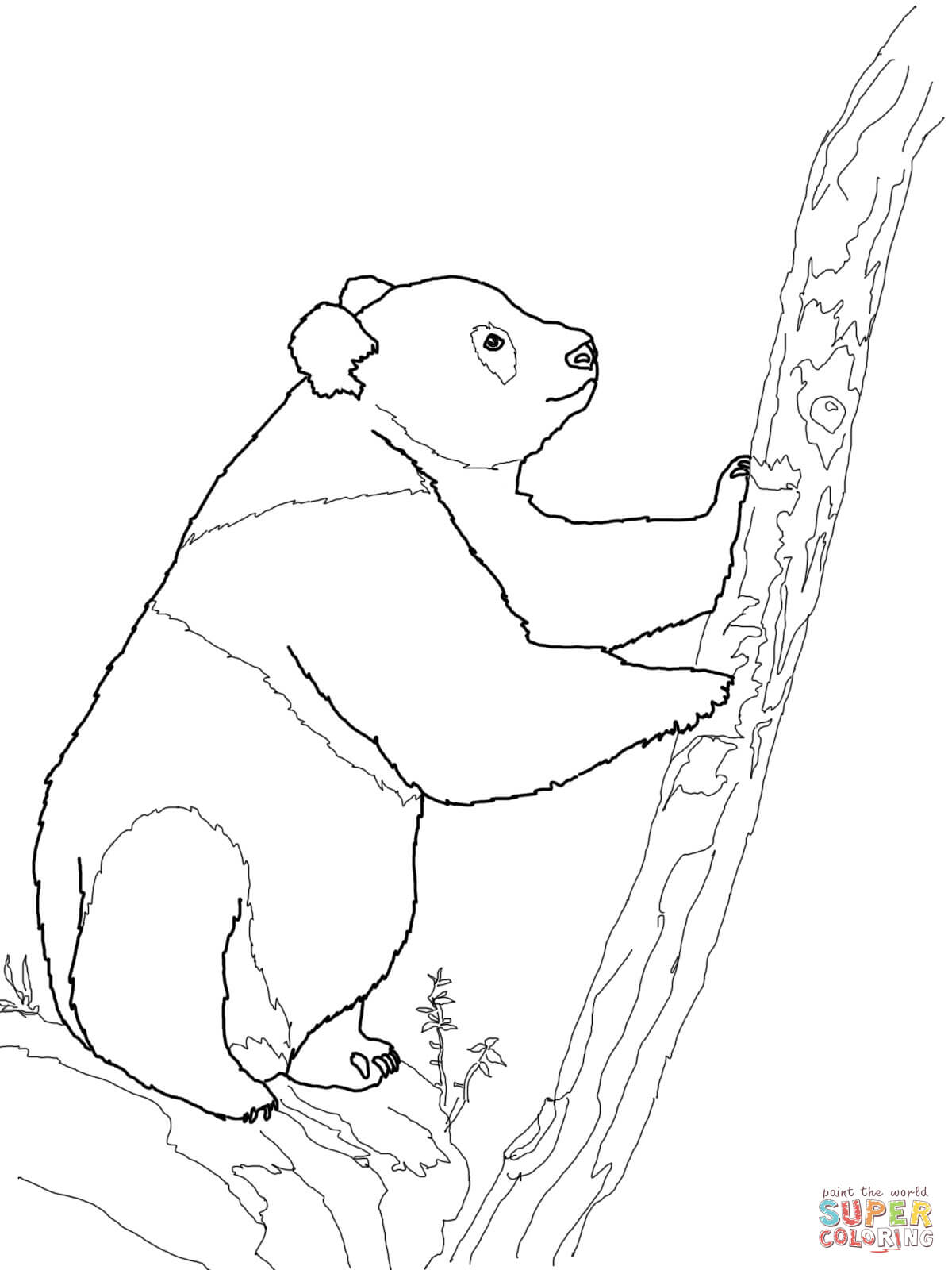 A Ordable Panda Bear Coloring Pages Giant Free 1200x1600 A Ordable Panda Bear Coloring Pages Giant Free
