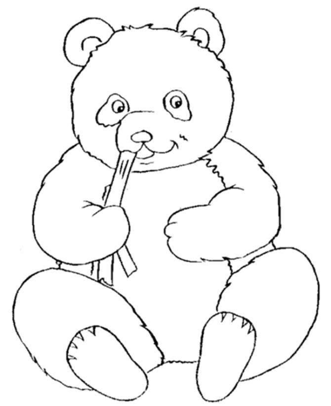 Top 10 Panda Bear Coloring Pages For Your Little Ones This 670x820 Top 10 Panda Bear Coloring Pages For Your Little Ones This