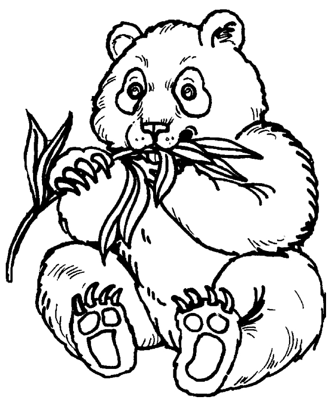 Panda Coloring Pages Luxury Panda Coloring Pages To Print Az 670x820 Panda Coloring Pages Luxury Panda Coloring Pages To Print Az