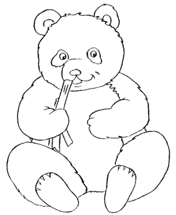 Panda Coloring Page 25 Unique Panda Coloring Pages Ideas 670x820 Panda Coloring Page 25 Unique Panda Coloring Pages Ideas