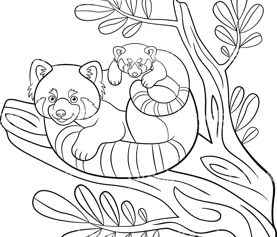 937x800 Coloring Pages Panda Adult Coloring Pages Panda And New Page Cute