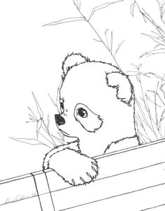 236x301 Free Panda Coloring Pages For Adults Free Printable Coloring